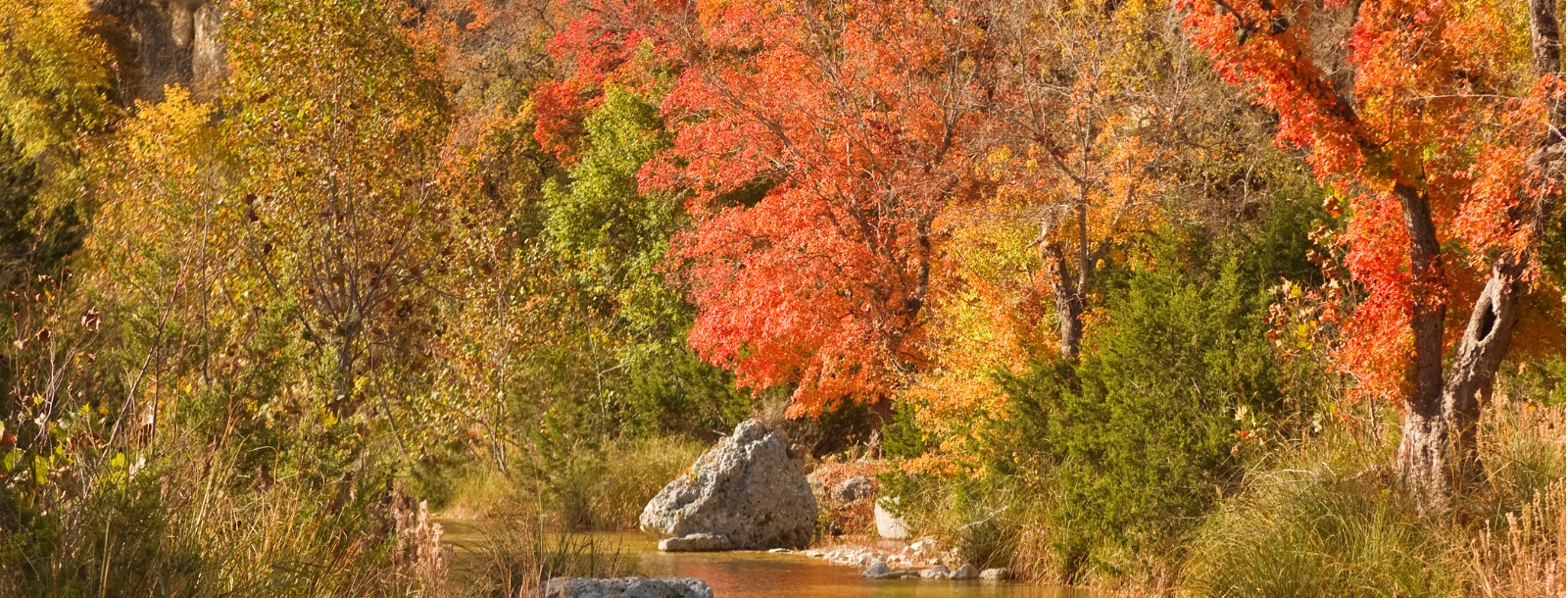 Autumn Colors in Texas hill country